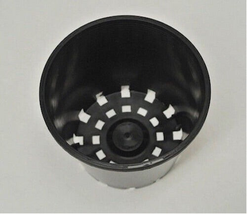 100mm Squat Garden Pot x 476pcs
