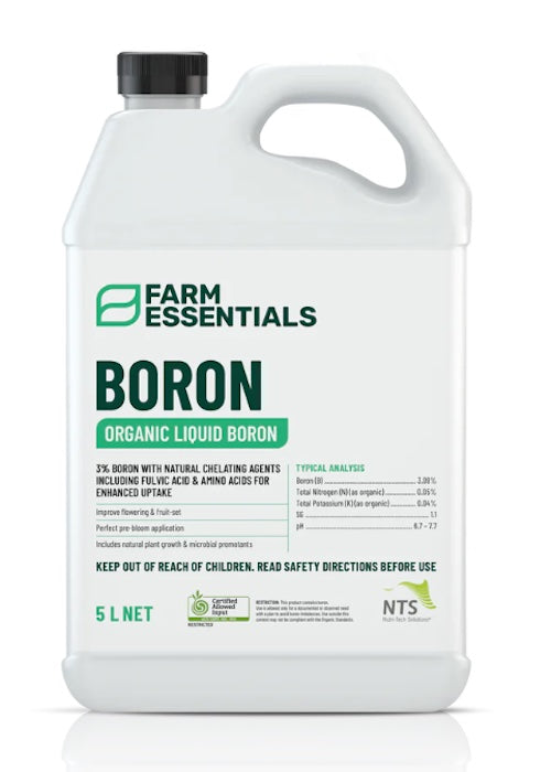 [NTS] Boron Essentials