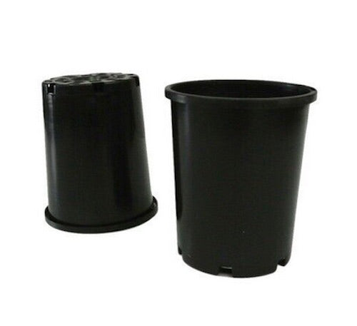 100mm Maxi Pots x 484pcs