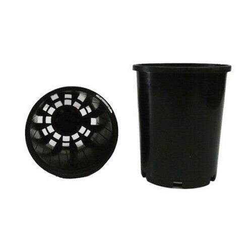 100mm Maxi Pots x 484pcs