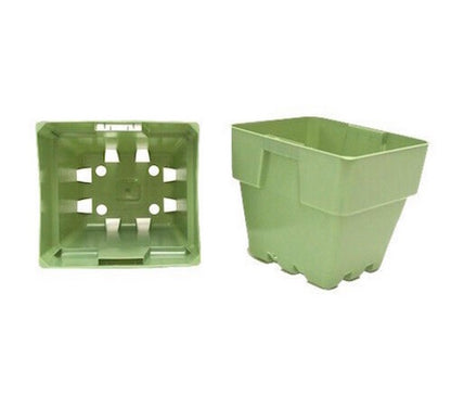 100mm Squat Square Punnet - Light Sage x 630pcs