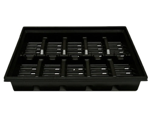 Punnet Tray (10 cells)