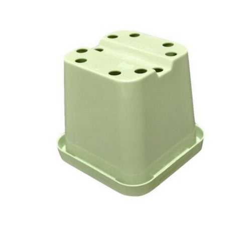 66mm Square Squat Pot (Green)  x 660pcs