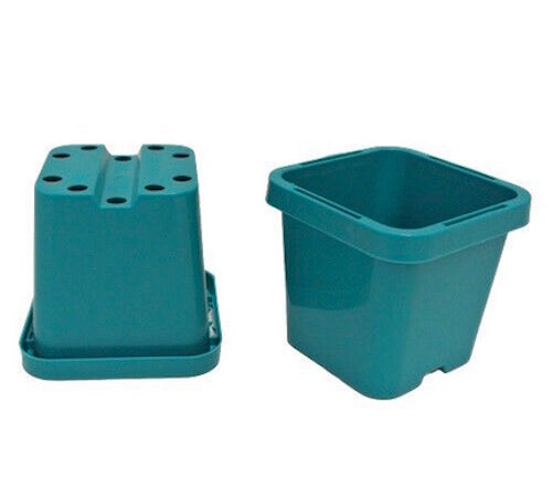 66mm Square Squat Pot (Aqua)  x 660pcs