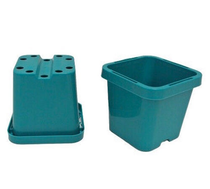 66mm Square Squat Pot (Aqua)  x 660pcs