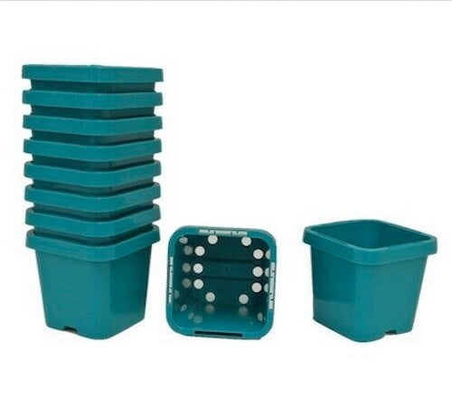 66mm Square Squat Pot (Aqua)  x 660pcs