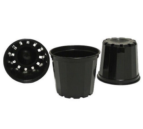 70mm New Gen. Squat Plastic Pot x 1,200 pcs