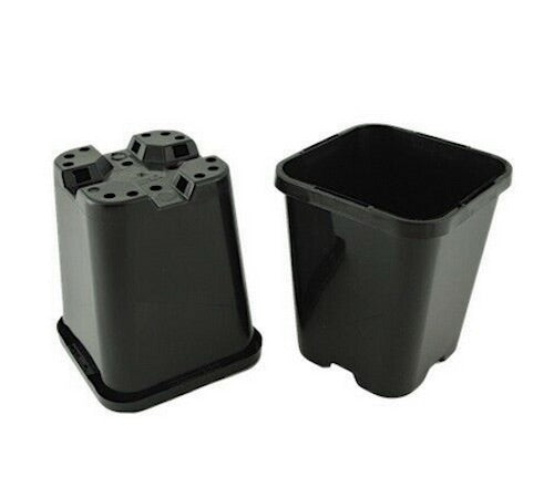 85mm Square Pots x 576pcs