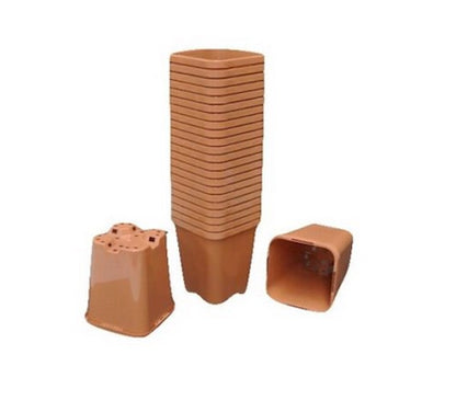 85mm Square Pots x 576pcs