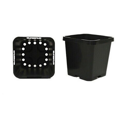 85mm Square Squat Pot x 504pcs