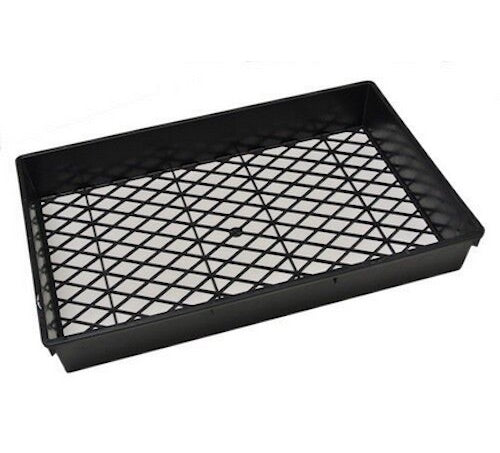 Large Tray x 10pcs